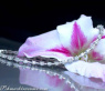Magnificent Diamond Bracelet in Platinum