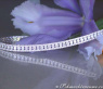 Prestigeous Diamond Bracelet (5,63 ct.)