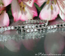 Tennisarmband mit schwarzen Diamanten & Brillanten
