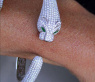 Opulent Diamond Panther Bangle