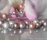 Edles Multicolor-Zuchtperlen- Brillanten Collier