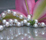 Beautiful Freshwater Pearl Necklace