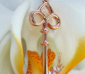 Cute Diamond Key Pendant in Rose gold 18k