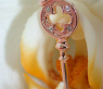 Pretty Diamond Key Pendant