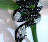 Snake Ring with Black & White Diamonds