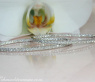 Oval Diamond Hoop Earrings
