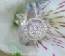Timeless precious diamonds ring
