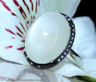 Fancy Moonstone Ring with Black Diamonds