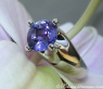 Stately Tanzanite Solitaire Ring