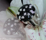 Fancy diamonds ring with black diamonds