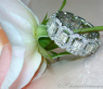 Exquisite Diamond Eternity Ring with Emerald Cut Diamonds