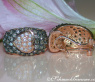 Timeless Heart Earrings with Brown & White Diamonds