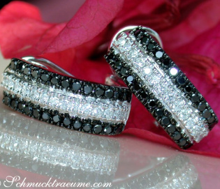 Attractive Black & White Diamond Earrings