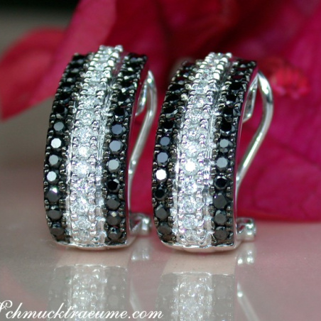 Attractive Black & White Diamond Earrings