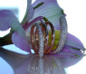 Exquisite Multi Row Diamond Ring