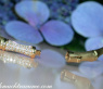 Diamanten Armreif im Bambus Design