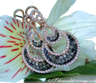 Interesting Earrings with Black, Natural Brown & White Diamonds