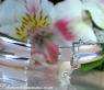 Solid Diamond Bangle in White gold 14k