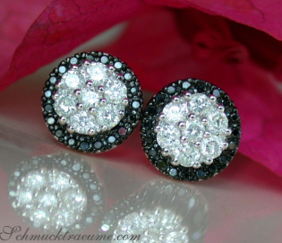 Pretty Black & White Diamond Studs