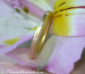 Enchanting Diamond "Starry Sky" Band in Yellow Gold