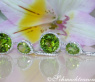 Stately Peridot Earrings with Diamonds