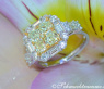 Glorious White & Yellow Diamond Ring