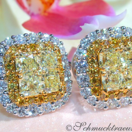 Exclusive Yellow & White Diamond Stud Earrings