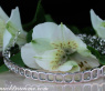 Fabulous Bangle with Brilliant, Princess & Baguette Diamonds