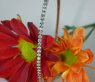 Timeless Bangle with Natural Brown Diamonds
