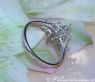 Picture Perfect Pear Shape Diamond Ring (Star Design)