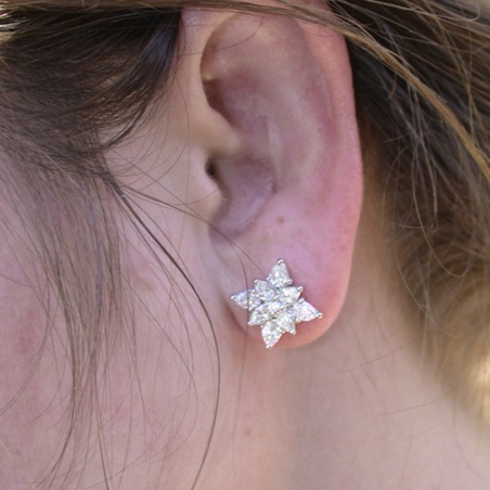 Picture Perfect Pear Shape Diamond Studs (Star Design)
