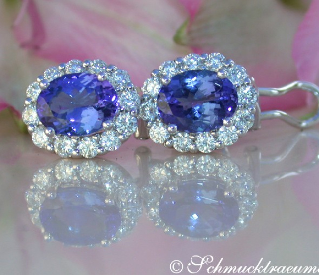 Exquisite AAA Tanzanite Studs with Diamonds Exquisite AAA Tanzanite Studs with Diamonds