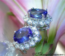 Exquisite AAA Tanzanite Studs with Diamonds