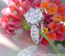 Precious "Solitaire Style" Diamond Ring