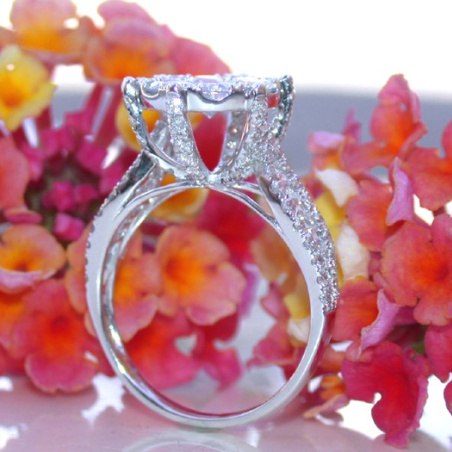 Precious "Solitaire Style" Diamond Ring