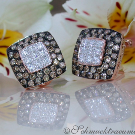 Timeless Square Studs with brown & white Diamonds