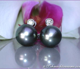 Precious Tahitian Pearl Studs with Diamonds