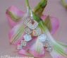 High-end Dangling Earrings with Diamonds