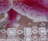 First Class Diamond Bracelet with Baguette Diamonds