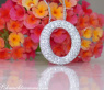 Elegant Diamond Circle Pendant