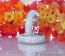 Precious Diamond Pave Hoop Earrings
