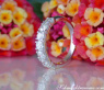 Stately Diamond Band in Whitegold