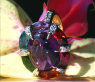 Extrarordinary Multicolor Gemstone Ring