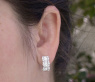 Precious Diamond Earrings in Whitegold 18k