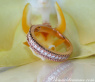 Picture Perfect Diamond Rope Band